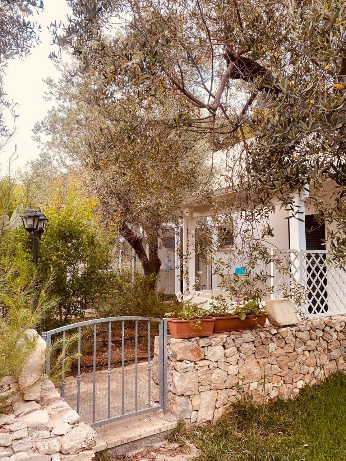 B&B Quasimare Porto Cesareo Ngoại thất bức ảnh