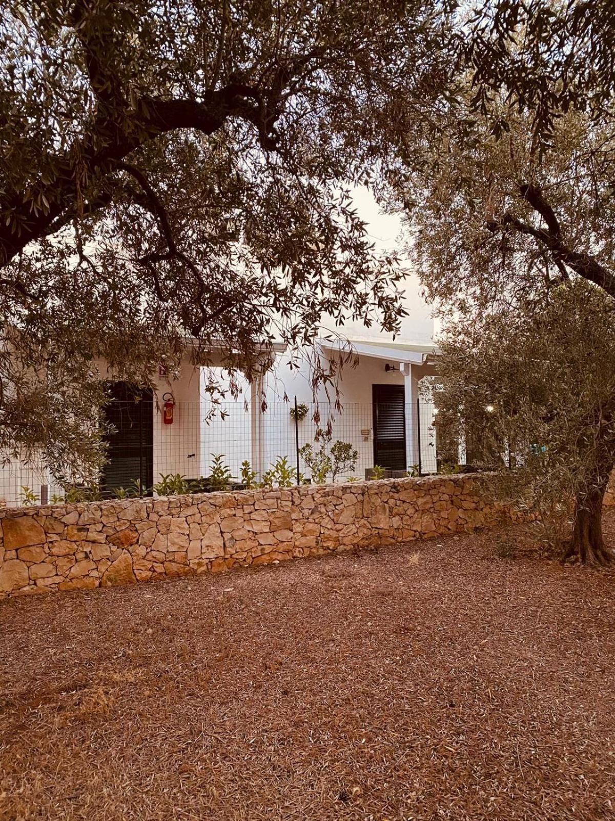 B&B Quasimare Porto Cesareo Ngoại thất bức ảnh